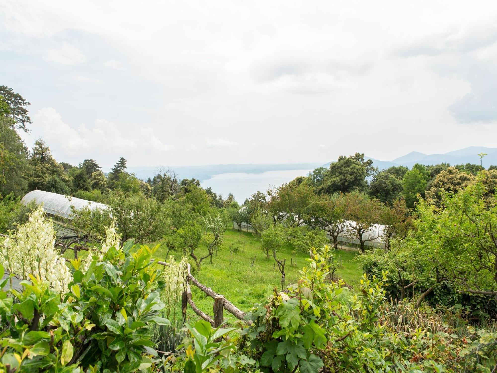 Peaceful Farmhouse In Verbania With Garden Villa Exterior photo