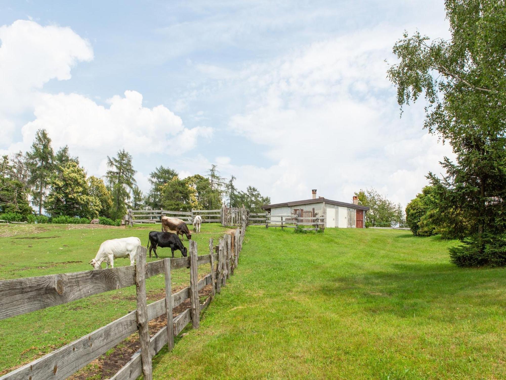 Peaceful Farmhouse In Verbania With Garden Villa Exterior photo